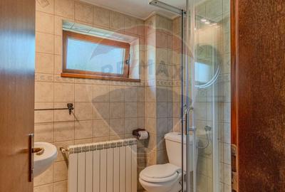 Casa CU POVESTE rezidential/ vacanta in Teliu cu 1700 mp teren! - 10