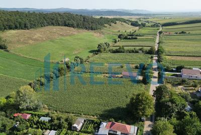 Teren intravilan de vanzare, Sat Bogdan?ti, Com. Traian - 9