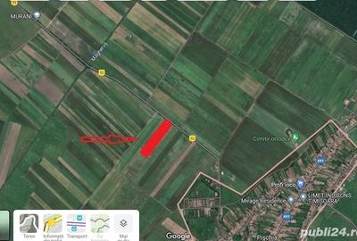 Teren de 16000 mp, în Pișchia - 2