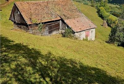 Teren de 10335 mp, în Poiana Mărului - 4