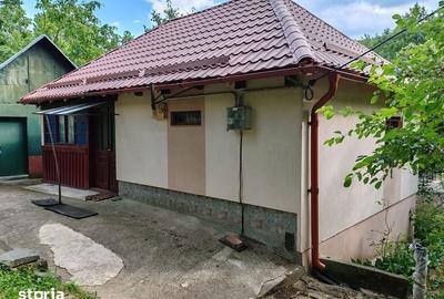 Casă cu 2 camere cu Teren 90 Mp în Almașu Mare