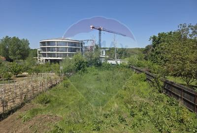 Casă individuală cu 6 camere cu Teren 1562 Mp în Snagov - 10
