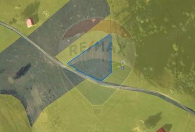 Teren de 1924 mp, în Șirnea - 10