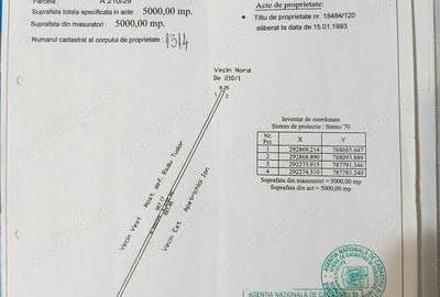 Teren de 5000 mp, în Agigea - 1
