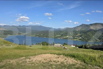 ???? Teren intravilan, de vanzare, 5 hectare, zona Colibita - 3