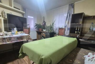 Casă cu 1 camere cu Teren 1306 Mp în Careiului - 9