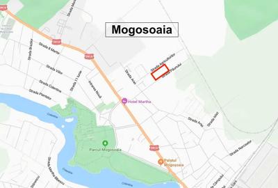 Spațiu comercial, în Mogoșoaia - 3