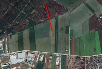 Teren extravilan Branesti, ID: R2649181 - 3