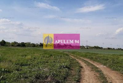 Teren construcție casă - 1 Decembrie - Zona Metropolitană București Teren construcție casă - 1 Decembrie - Zona Metropolitană București - 11