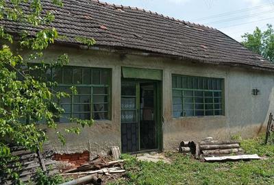 Vind casa cu gradina Vind casa cu gradina - 6