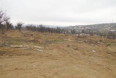 Teren de 670 mp, în Bucium - 3