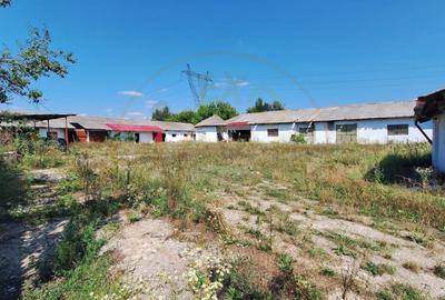 Proprietate industriala de vanzare Hartiesti, jud. Ar - 5