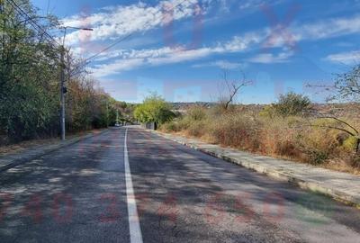 Teren de 2500 mp, în Peco - 3