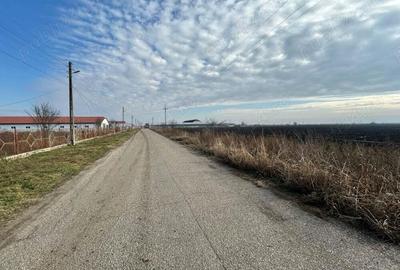Vand teren intravilan,zona industriala,st.16,8 ha. + 8 ha.agricol,in Sanicolau Mare, la DN6,la sosea - 5