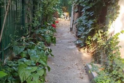 Nu inchiriezi o casa, ci iti alegi un acasa! - 2