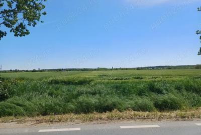 Teren de 5000 mp, în Siliștea Snagovului