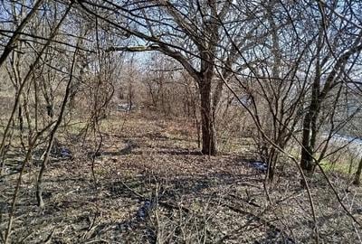 Casă cu 10 camere în Zgribești - 10