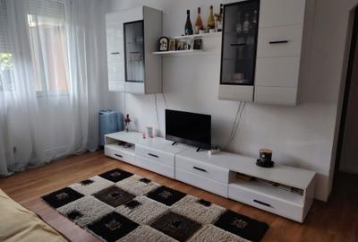 Apartament cu 2 camere semidecomandat în Carpați 1 - 8