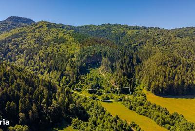 Spațiu comercial, în Brădet - 1