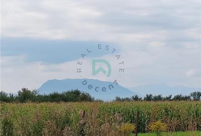 Teren Construcții intravilan de 2841 mp, în Prejmer - 7