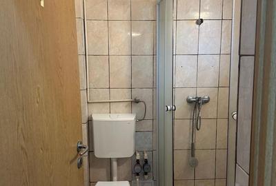 Garsonieră Baba Novac, terasă mare proprie, parc IOR, pet friendly - 4