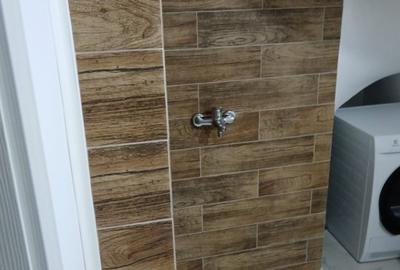 VILA COCHETA IN OTOPENI ODAI - 12