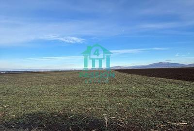 Teren de 22679 mp, în Hărman - 5