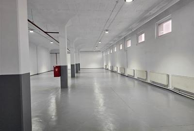Spatii depozitare, productie, birouri, showroom-uri - de la 450 mp - 5