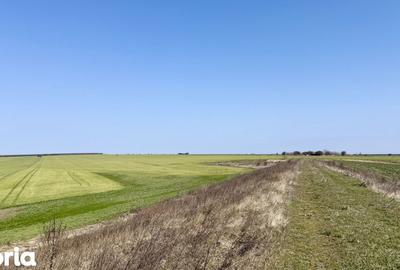 Teren de 444 mp, în Central - 13