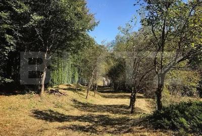 Casa de Vacan?a pe Valea Ighielului 3 camere, 2500 mp curte - 18