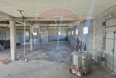 Spatiu industrial de 520mp de vanzare - 17