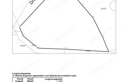 Teren cu puz intravilan in localitatea Paltinis din judetul Sibiu - 6