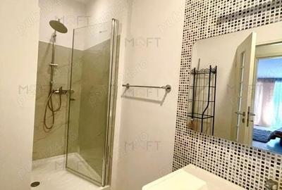 Apartament 2 camere pe acoperiș - Dristor - 5