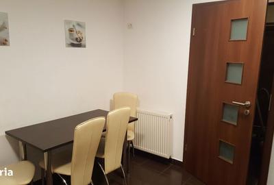 Apartament cu 3 camere decomandat, mobilat în Iosefin - 8