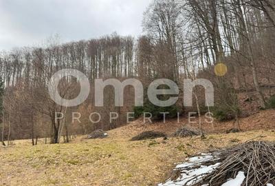 Teren Construcții extravilan de 1402 mp, în Blidari - 2