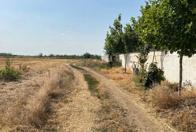 Teren de 1723 mp, în Poșta - 6