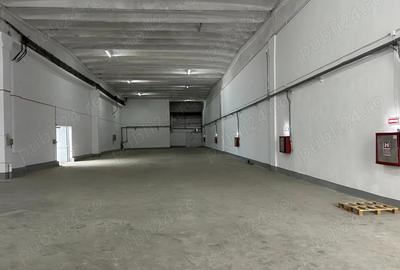 Inchiriez depozite,hale cu rampa ?i zone de incarcare-descarcare AUTORIZATE ISU, ZONA CENTRALA - 8