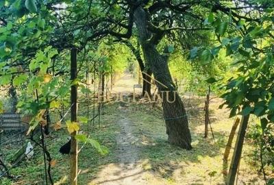 Teren intravilan de 2822 mp, în Șagului - 2