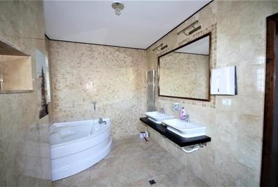 Casă individuală cu 6 camere cu Canalizare în Parcul Carol - 9