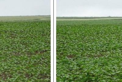 Teren cota parte 1/4, Saraiu, ID: R2684294 - 1