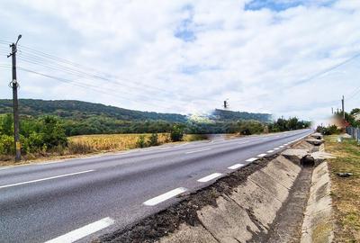 Teren 1,4 hectare Draganu Arges - 3