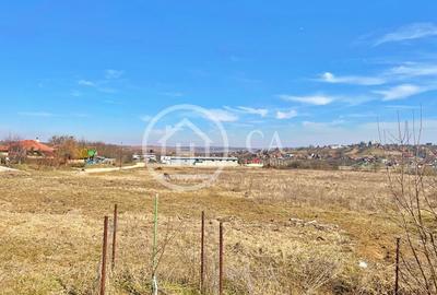 Teren 130.000 mp de vanzare in Paleu, Oradea - 1