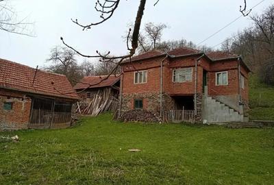 Casă cu 4 camere în Poieni (Densuș) - 9