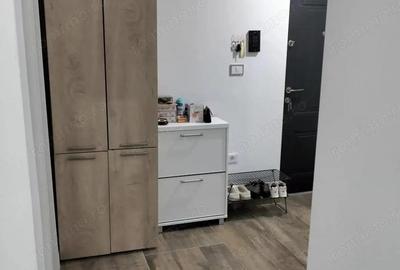 Apartament cu 1 camera POD pe toata suprafata Calea Urseni - 3