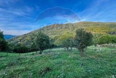 Teren 1812 mp de vanzare | Muntele Rece, cadru linistit, Comision 0% - 2