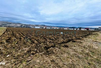 Teren de 34650 mp, în Central - 1