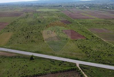Teren de 33000 mp, în Bolotești - 2