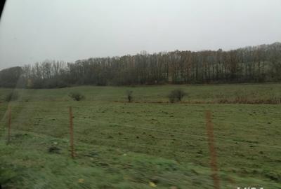 Teren în Viișoara - 8