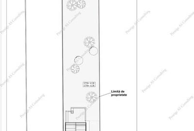 Tere+Autorizatie | 1262mp | Parta - 3
