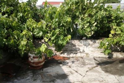 Vand casa pe strada Mihai Bravu